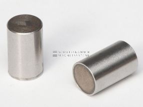 Magnetsystem mit Passungstoleranz h6, SmCo