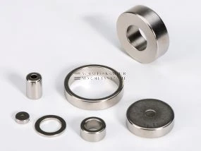 Ringmagnet, Neodym