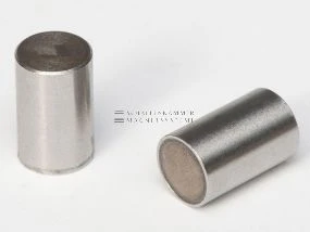 Magnetsystem mit Passungstoleranz h6, SmCo